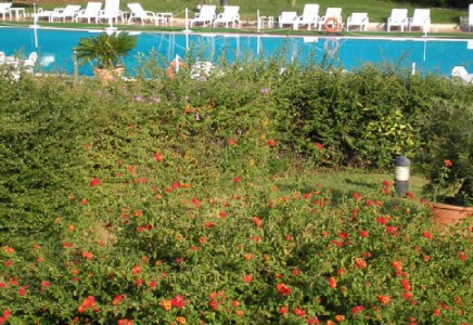 Image for Largo Lido 75025 Policoro MT