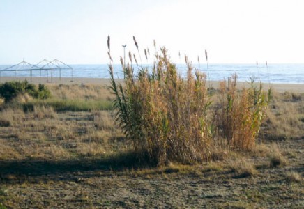 Image for Largo Lido 75025 Policoro MT